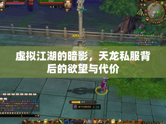 虚拟江湖的暗影，天龙私服背后的欲望与代价