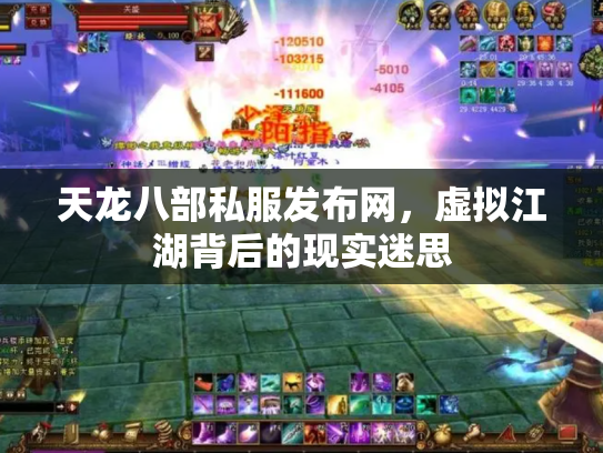 天龙八部私服发布网，虚拟江湖背后的现实迷思