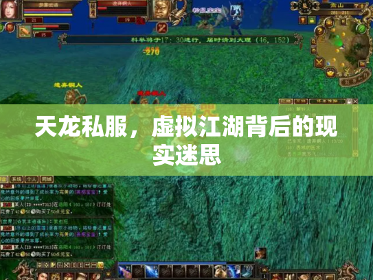 天龙私服，虚拟江湖背后的现实迷思