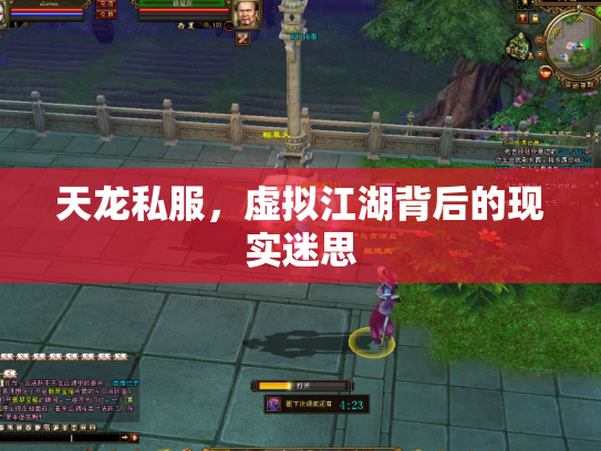 天龙私服，虚拟江湖背后的现实迷思