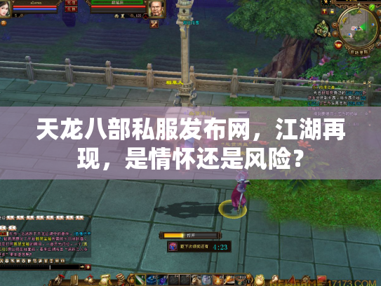 天龙八部私服发布网，江湖再现，是情怀还是风险？
