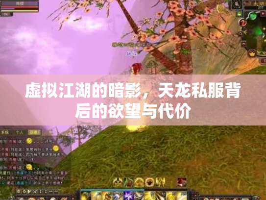 虚拟江湖的暗影，天龙私服背后的欲望与代价