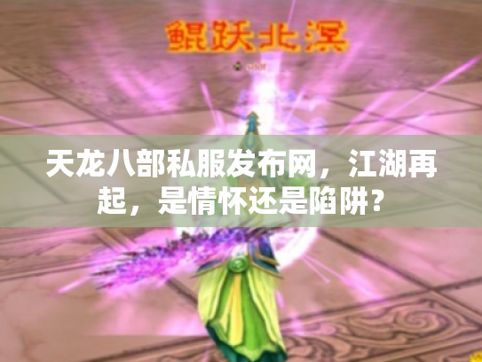 天龙八部私服发布网，江湖再起，是情怀还是陷阱？