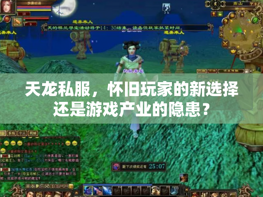天龙私服，怀旧玩家的新选择还是游戏产业的隐患？