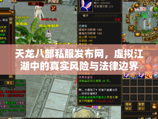 天龙八部私服发布网，虚拟江湖中的真实风险与法律边界