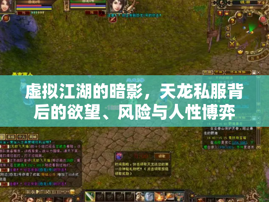 虚拟江湖的暗影，天龙私服背后的欲望、风险与人性博弈