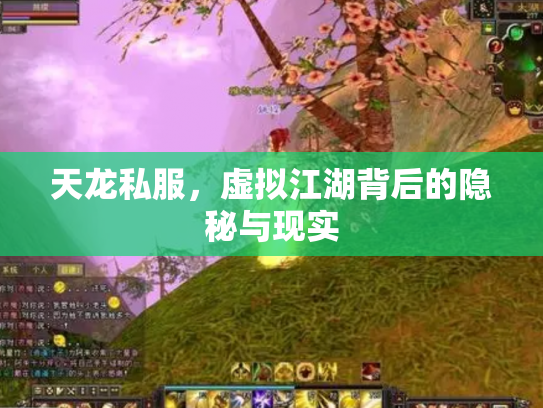 天龙私服，虚拟江湖背后的隐秘与现实