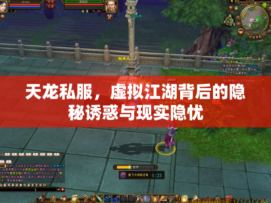 天龙私服，虚拟江湖背后的隐秘诱惑与现实隐忧