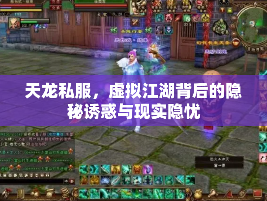 天龙私服，虚拟江湖背后的隐秘诱惑与现实隐忧
