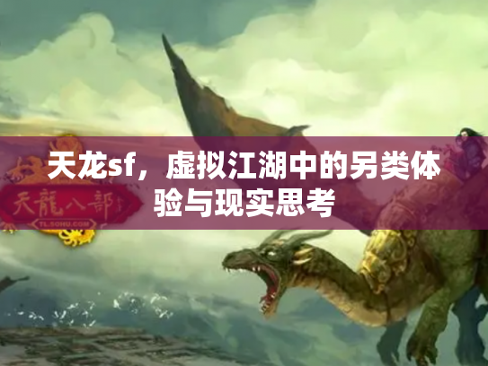 天龙sf，虚拟江湖中的另类体验与现实思考