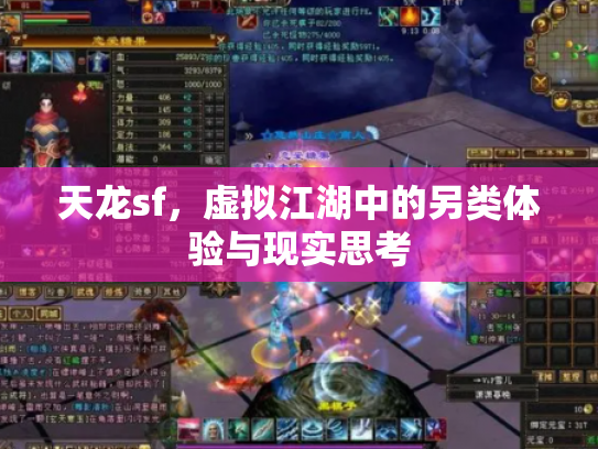 天龙sf，虚拟江湖中的另类体验与现实思考