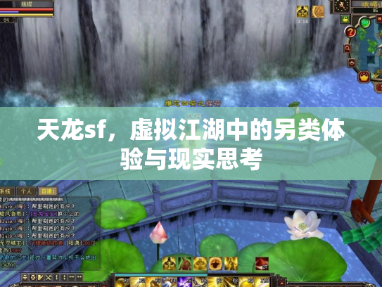 天龙sf，虚拟江湖中的另类体验与现实思考