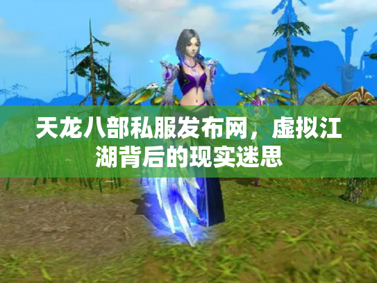 天龙八部私服发布网，虚拟江湖背后的现实迷思