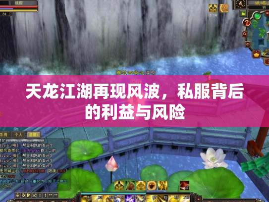 天龙江湖再现风波，私服背后的利益与风险