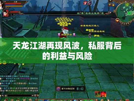 天龙江湖再现风波，私服背后的利益与风险