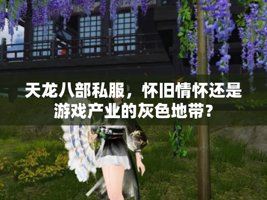 天龙八部私服，怀旧情怀还是游戏产业的灰色地带？