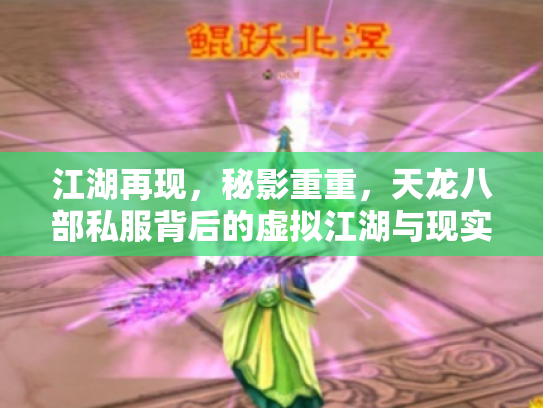 江湖再现，秘影重重，天龙八部私服背后的虚拟江湖与现实隐忧