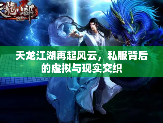 天龙江湖再起风云，私服背后的虚拟与现实交织