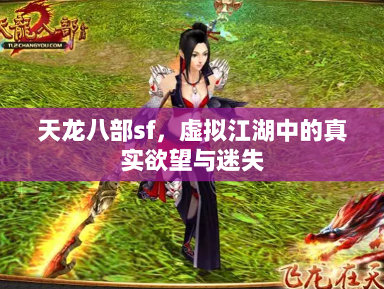天龙八部sf，虚拟江湖中的真实欲望与迷失
