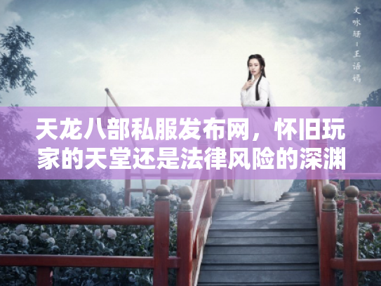 天龙八部私服发布网，怀旧玩家的天堂还是法律风险的深渊？