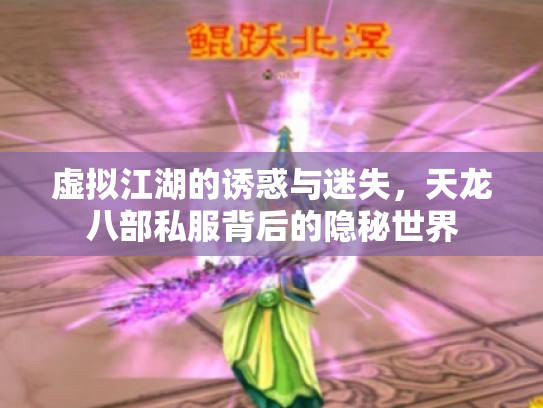虚拟江湖的诱惑与迷失，天龙八部私服背后的隐秘世界