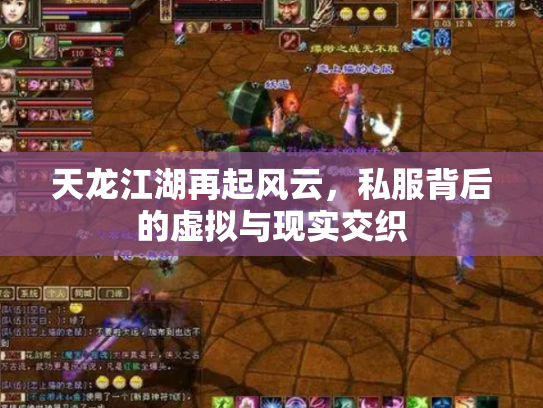 天龙江湖再起风云，私服背后的虚拟与现实交织