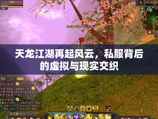 天龙江湖再起风云，私服背后的虚拟与现实交织