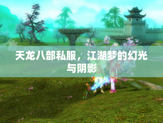 天龙八部私服，江湖梦的幻光与阴影