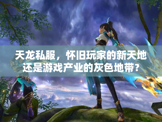 天龙私服，怀旧玩家的新天地还是游戏产业的灰色地带？