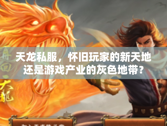 天龙私服，怀旧玩家的新天地还是游戏产业的灰色地带？