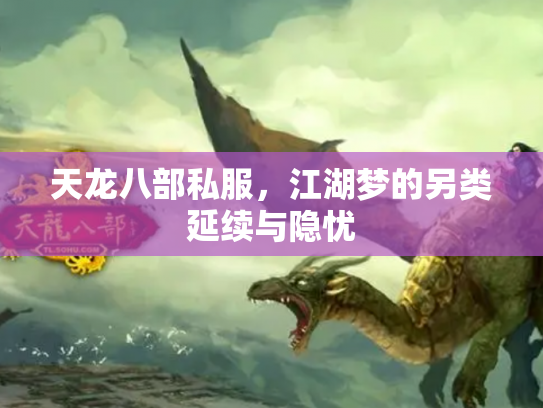 天龙八部私服，江湖梦的另类延续与隐忧