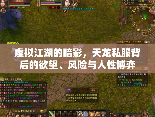 虚拟江湖的暗影，天龙私服背后的欲望、风险与人性博弈