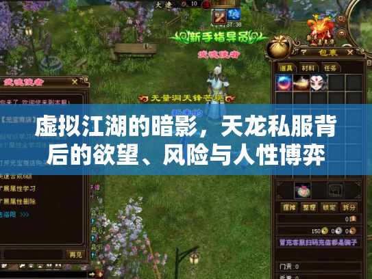 虚拟江湖的暗影，天龙私服背后的欲望、风险与人性博弈