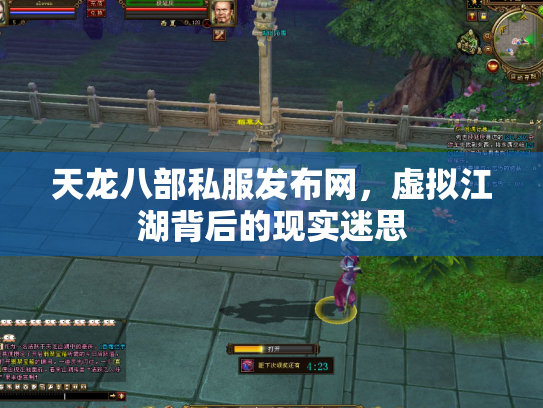 天龙八部私服发布网，虚拟江湖背后的现实迷思