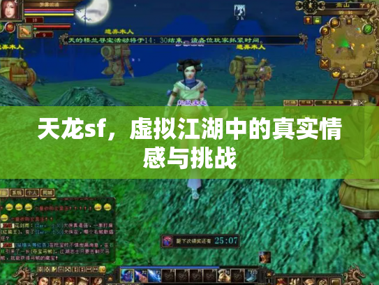 天龙sf，虚拟江湖中的真实情感与挑战