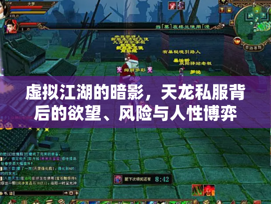 虚拟江湖的暗影，天龙私服背后的欲望、风险与人性博弈