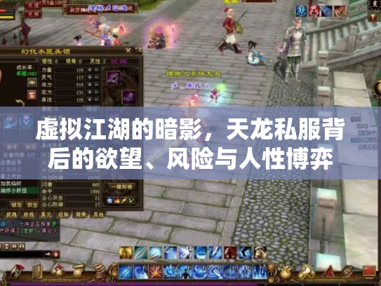 虚拟江湖的暗影，天龙私服背后的欲望、风险与人性博弈