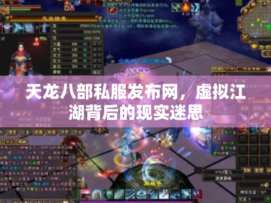天龙八部私服发布网，虚拟江湖背后的现实迷思
