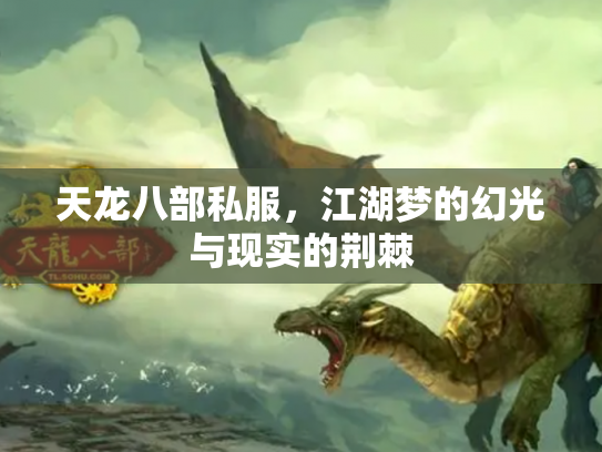 天龙八部私服，江湖梦的幻光与现实的荆棘