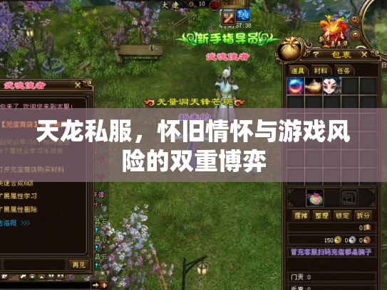 天龙私服，怀旧情怀与游戏风险的双重博弈