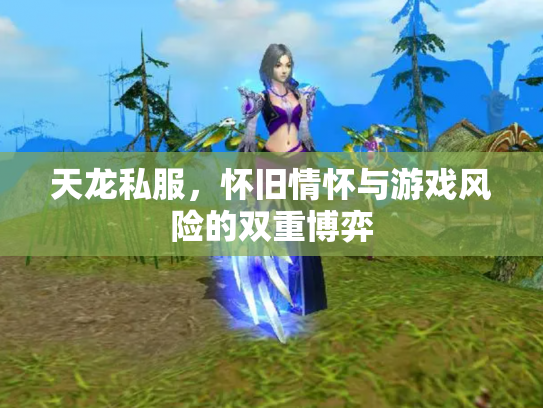天龙私服，怀旧情怀与游戏风险的双重博弈