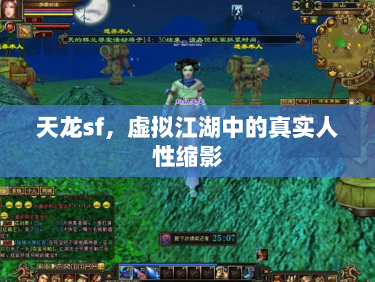 天龙sf，虚拟江湖中的真实人性缩影
