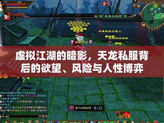 虚拟江湖的暗影，天龙私服背后的欲望、风险与人性博弈