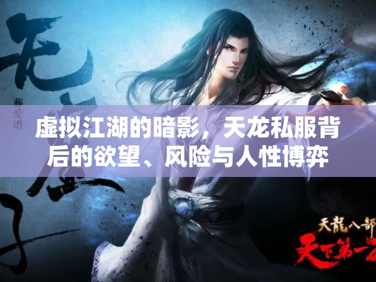 虚拟江湖的暗影，天龙私服背后的欲望、风险与人性博弈