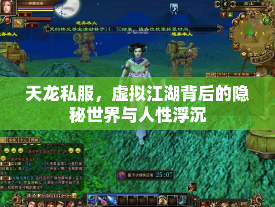 天龙私服，虚拟江湖背后的隐秘世界与人性浮沉