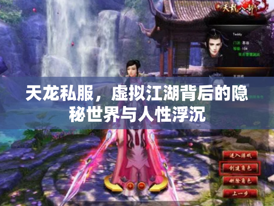 天龙私服，虚拟江湖背后的隐秘世界与人性浮沉
