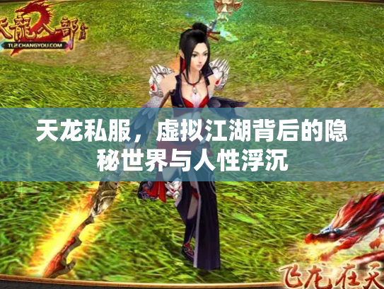 天龙私服，虚拟江湖背后的隐秘世界与人性浮沉