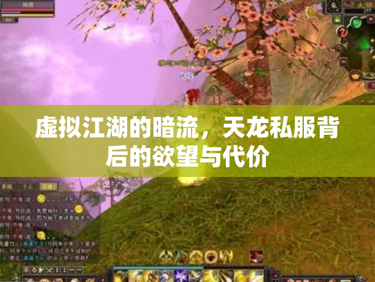 虚拟江湖的暗流，天龙私服背后的欲望与代价