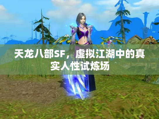 天龙八部SF，虚拟江湖中的真实人性试炼场