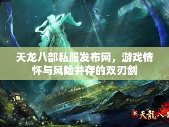 天龙八部私服发布网，游戏情怀与风险并存的双刃剑